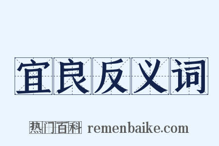 宜良反义词是什么意思的图片